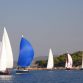 Regata