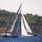 Regata
