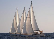 Regata