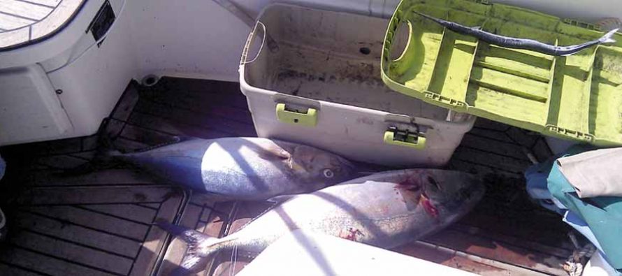 Klupsko natjecanje u športskom ribolovu na moru ŠD Lignje