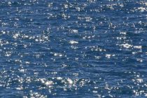 Bura rashladila more u cijeloj Dalmaciji