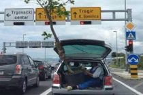 Pogledajte kako je “biserni” dvojac na brzoj cesti Split – Kaštela prevozio stablo