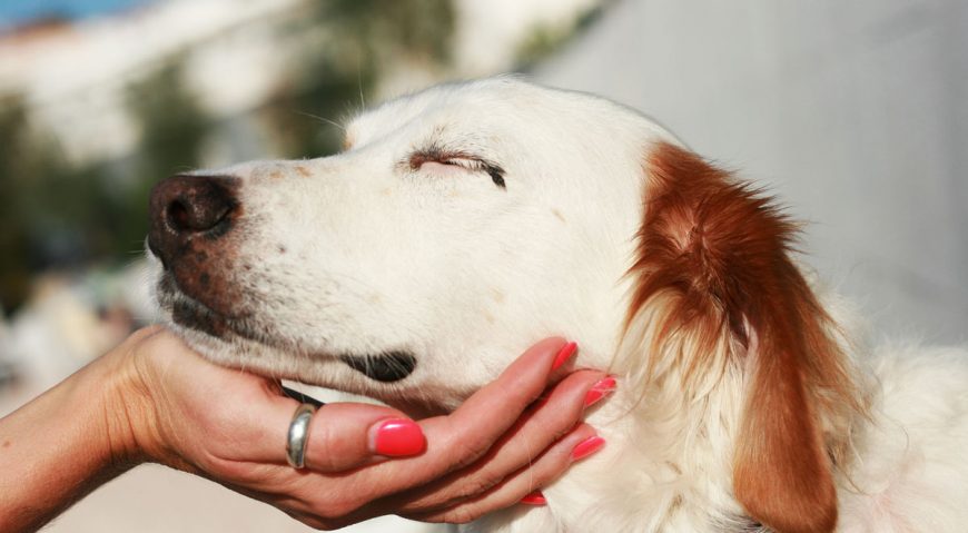 Foto dana 16.6.2014.