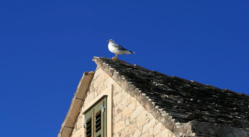 Foto dana 22.6.2014.