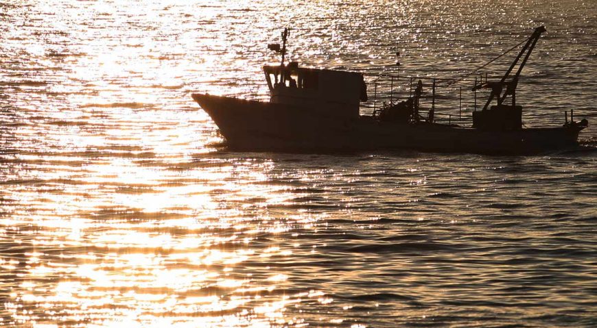 Foto dana 17.6.2014.