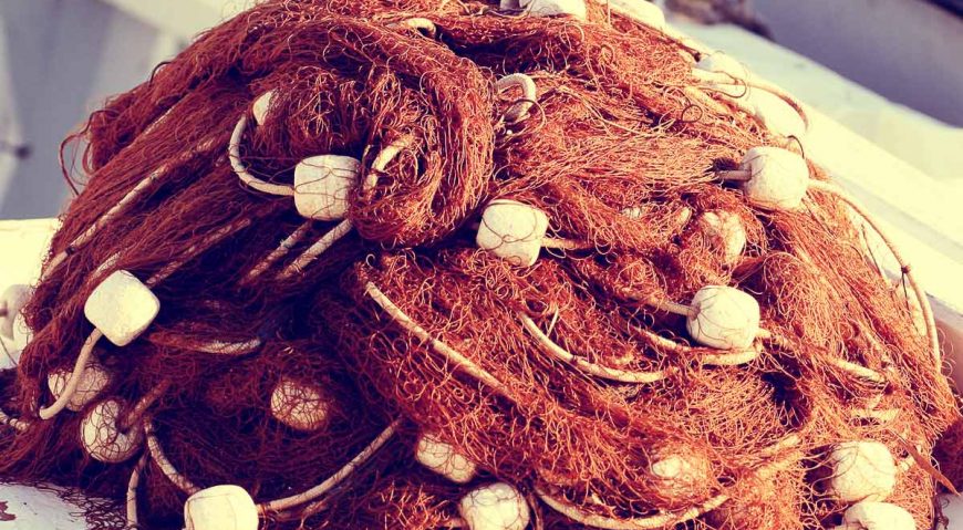 Foto dana 30.6.2014.