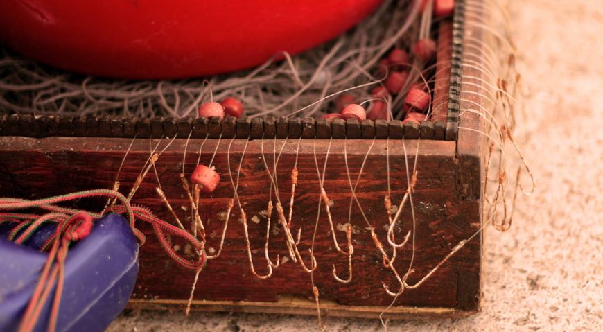 Foto dana 18.6.2014.