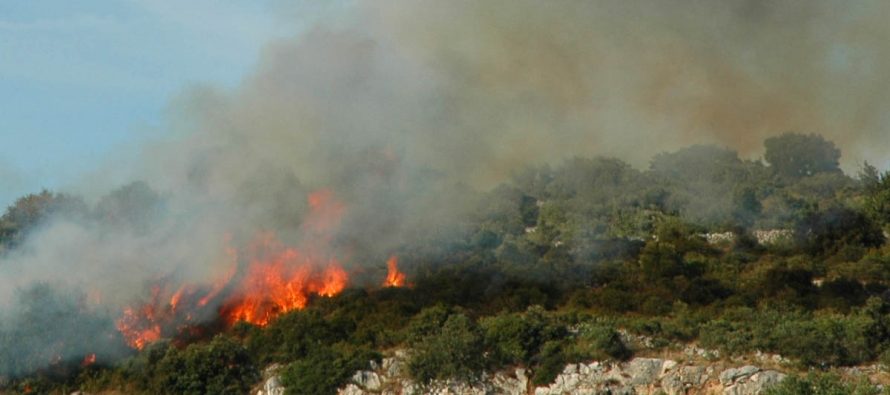 Vrućine su krenule, a s njima i požari: Gorjelo u Fenčevom polju