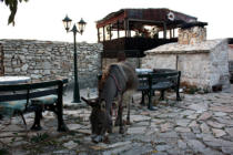 Supljak u utorak bez struje