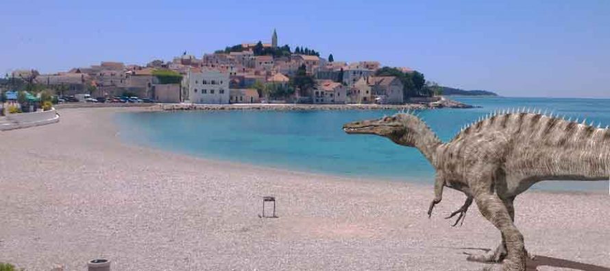 FORA PLUS – Roštilj