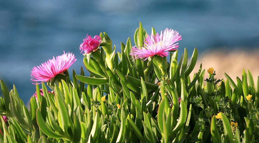 Foto dana 17.7.2014.