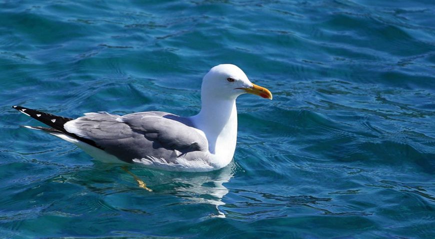 Foto dana 19.7.2014.