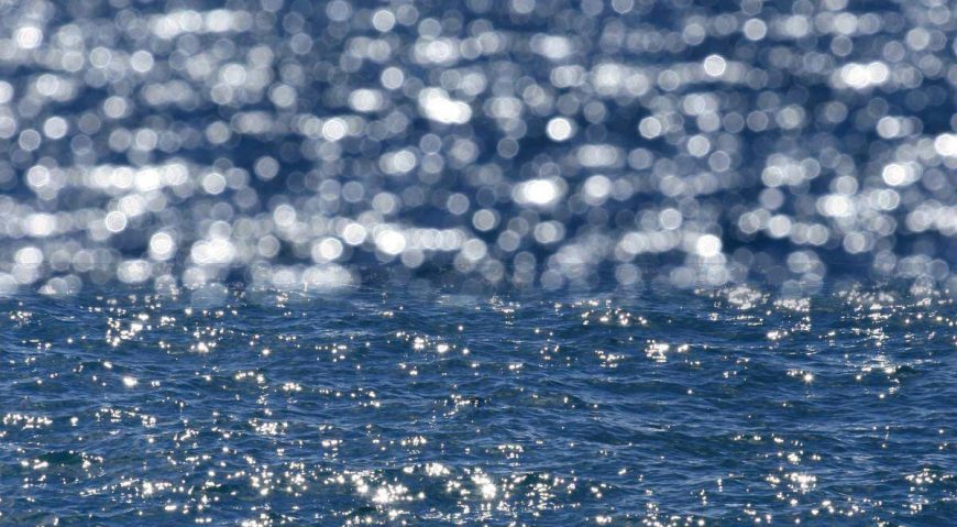 Foto dana 23.7.2014.