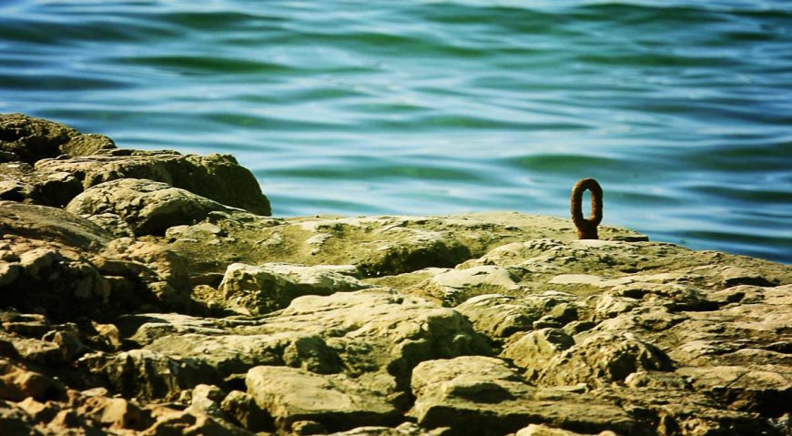 Foto dana 24.7.2014.