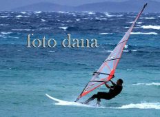 Foto galerija – Foto dana SRPANJ