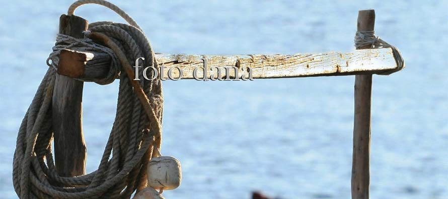 Foto dana – Srpanj