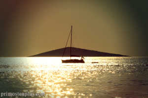 Foto-dana-kolovoz393