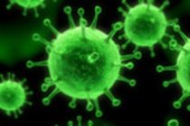 U Primoštenu će se od 17. do 20. rujna održati međunarodni skup o genskoj tematici