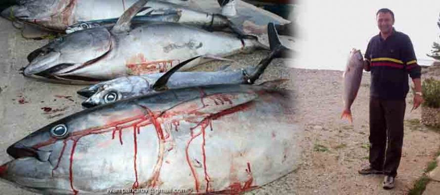 Big game fishing u Jezerima