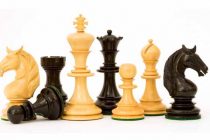 Brzopotezni šahovski turnir