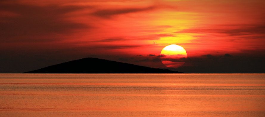 Bez zime do kraja studenog: Pročitajte kada se vraćaju kiše i južina