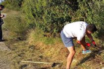 FOTO: Članovi Biciklističkog kluba “Primošten” u radnim akcijama