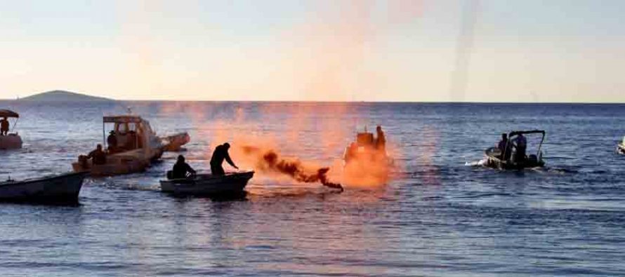 Lignje, gotove ste!!!!!