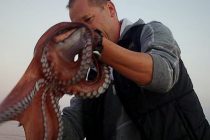 FORA PLUS – Golim rukama na Octopus Vulgaris