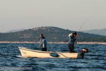 Počele su lignje ! Kako ih prevariti??