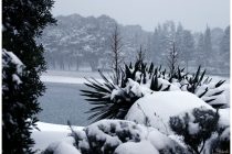 Kako zaštititi maslinik, voćnjak ili vrt od ledenog vala