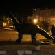 Dinosaur i gorila