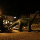 Dinosaur i gorila