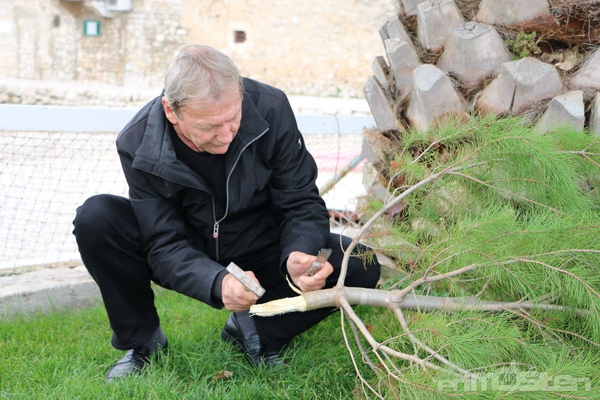 Podvodno božićno drvce