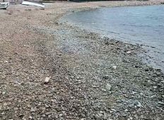 Oseka u Primoštenu 9.1.2015.