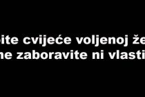 FORA PLUS – Valentinovo