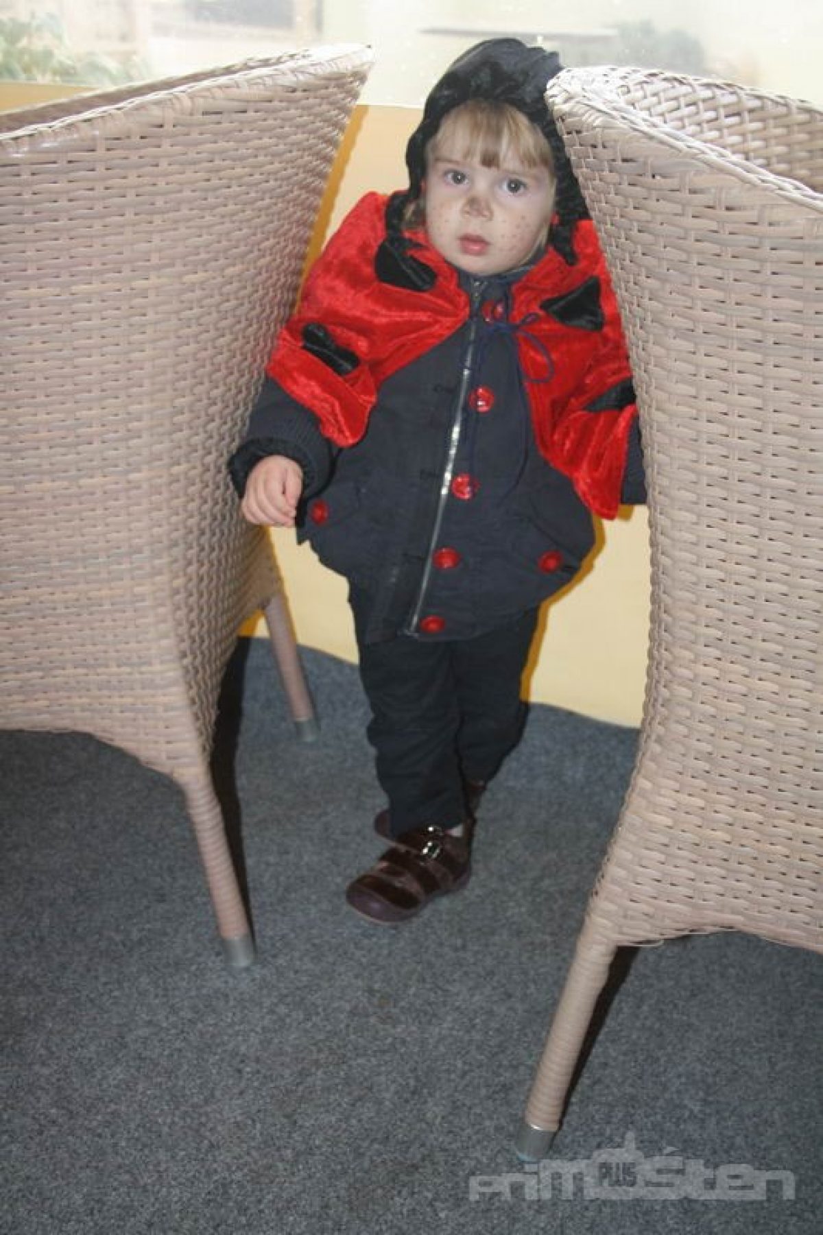 Maškare – Arhiv 2004 -2014