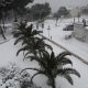 Snijeg 04.02.2012.
