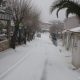 Snijeg 04.02.2012.