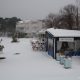 Snijeg 04.02.2012.