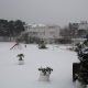 Snijeg 04.02.2012.