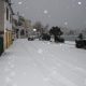 Snijeg 04.02.2012.