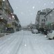 Snijeg 04.02.2012.