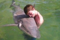 FORA PLUS: Uspavanka malom Sharkiju