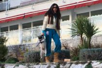 ŠibenikIN bira naj kućnog ljubimca, nagrade i više nego primamljive!