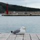 Primošten na dan 8.4.2015.