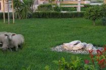 FORA PLUS – Vrime je…..