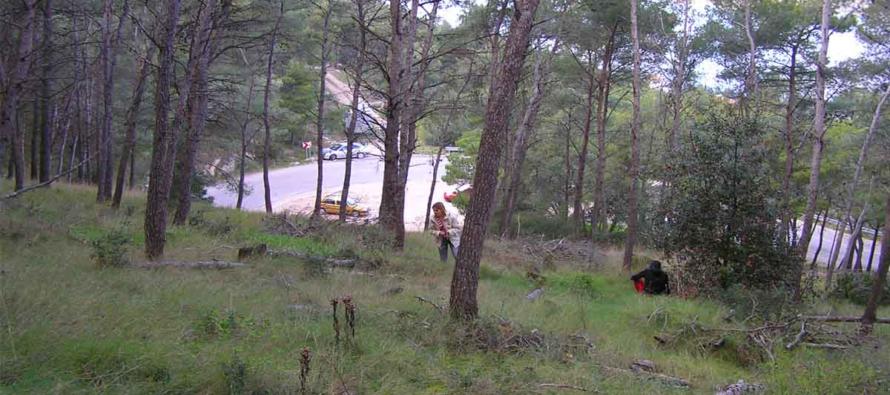 Posebna regulacija prometa kod Jelinjaka zbog sanacije štete od požara