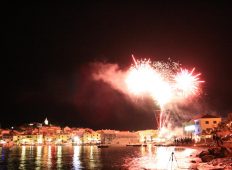 Gospin žežin 2015.