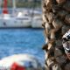 KRKA ENDURO RAID – Primošten