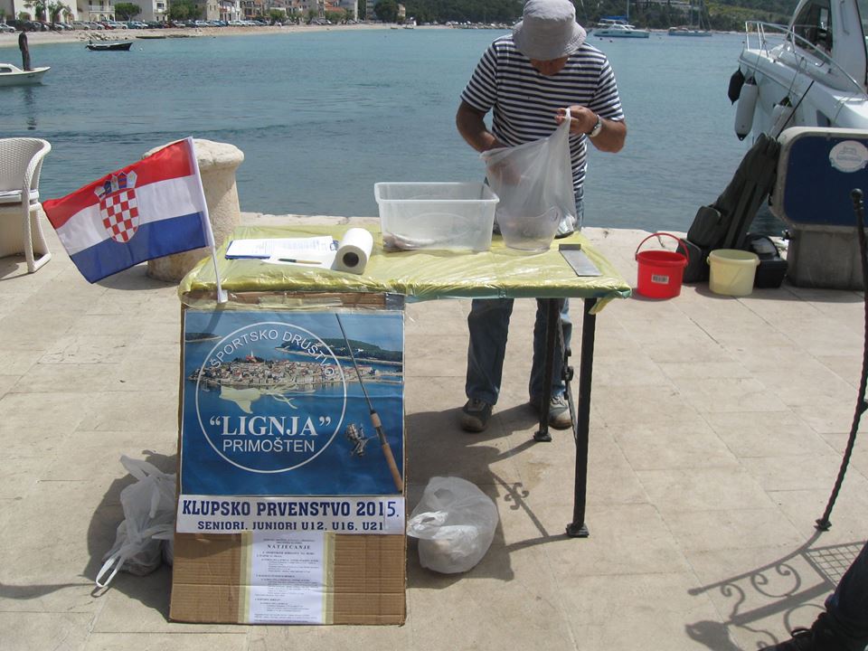 šd lignja_03